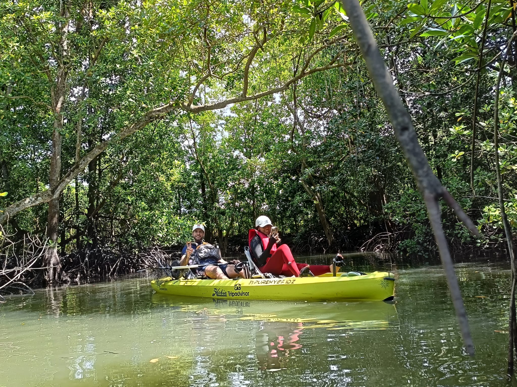 Load video: Singapore fishing youtube Roy Yang catches 1 Mangrove jack and 1 Hybrid grouper on the same line on Purehybridz Kayak Fishing Tour at Pulau Ubin
