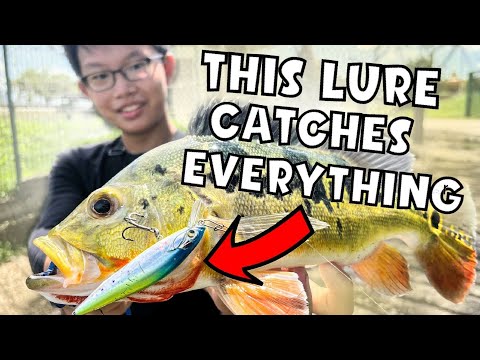 Guided Kayak Fishing Tour along Pulau Ubin – Purehybridz Kayak Fishing