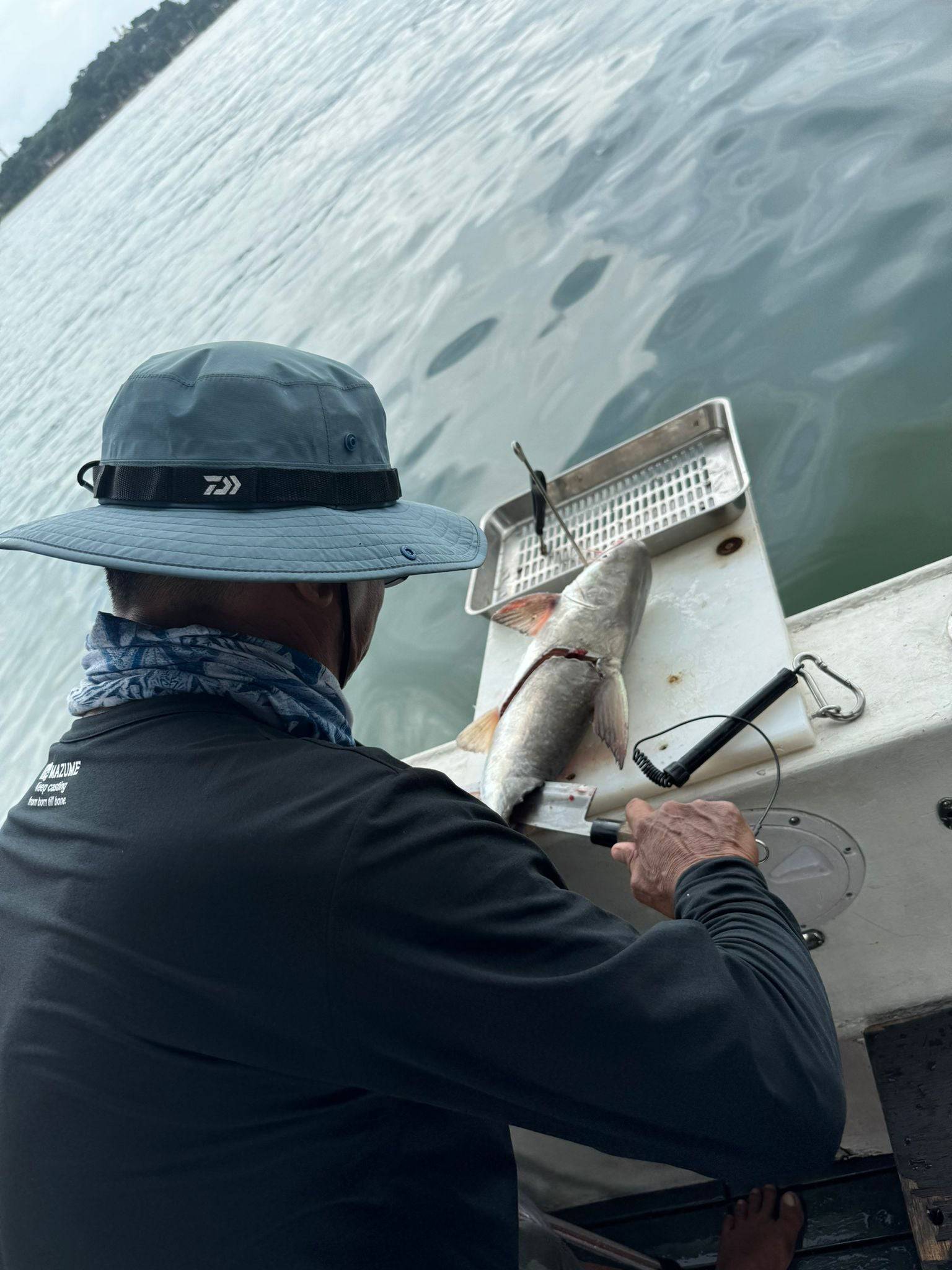 Boat captain degutting freshly caught fish for guests on Purehybridz Private Boat Fishing experience