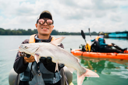 Kayak Fishing Guide Dilon lands a huge catfish on Purehybridz Kayak Fishing Tours in Pasir Ris