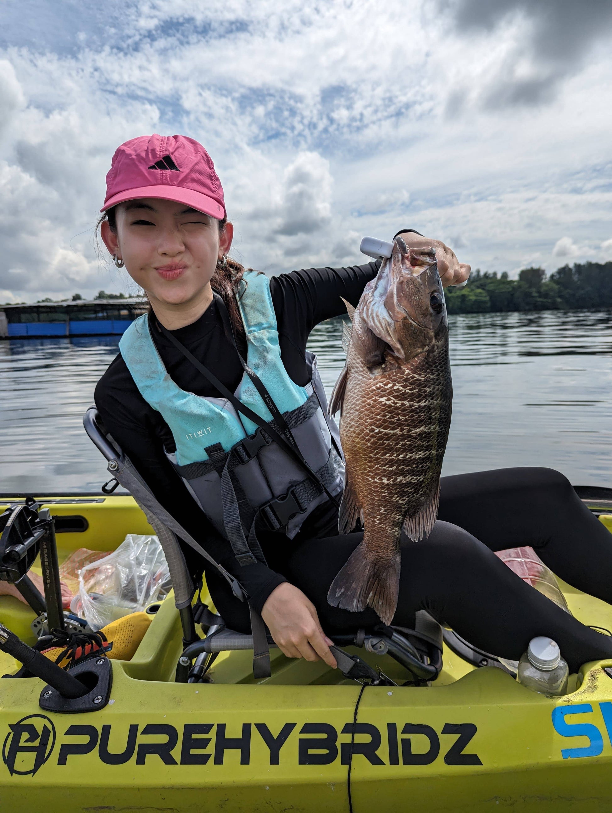 Lady angler catches huge mangrove jack on Purehybridz Lime Green Hobie Compass Duo Kayak