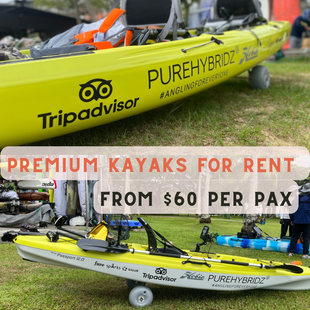 Fishing Kayak Rental Full Day - Hobie Compass Duo, Hobie Passport –  Purehybridz Kayak Fishing